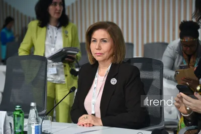 Право на достойное жилье - одна из основ человеческого достоинства - Бахар Мурадова