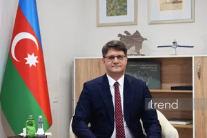 Азербайджан внедрит мониторинг лесов на базе ИИ