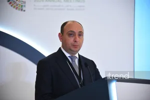 За пять лет Азербайджан добился значительного прогресса в цифровизации - замминистра