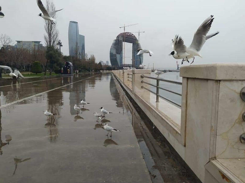 Bakıya yenə güclü yağış yağacaq