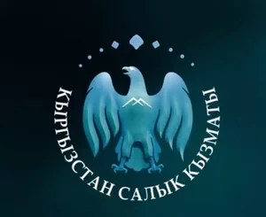 Налоговая служба Кыргызстана ответила на актуальные вопросы по страховым взносам