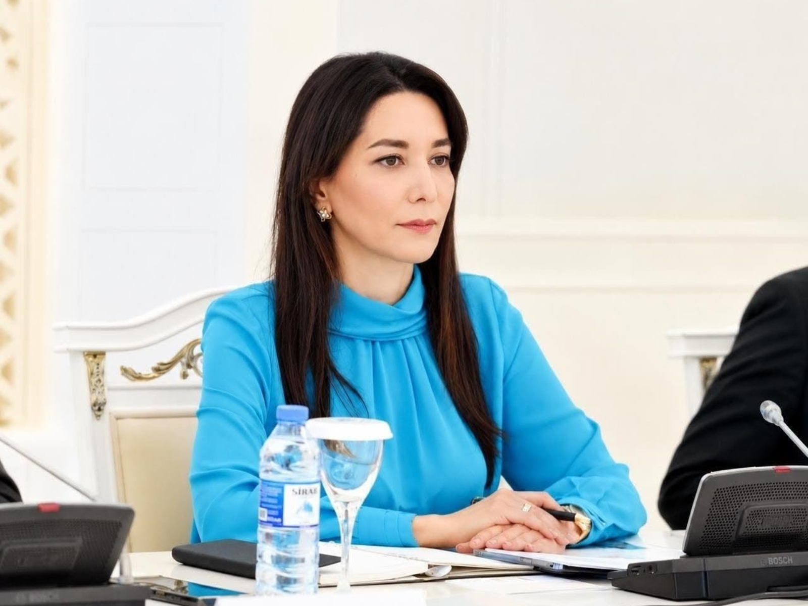 Укрепление культуры прав человека зависит от активной гражданской позиции — Сабина Алиева (Интервью)