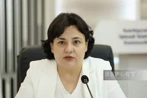 Ильхама Гадимова: ИИ позволит обеспечить 100%-ный контроль над посевными площадями