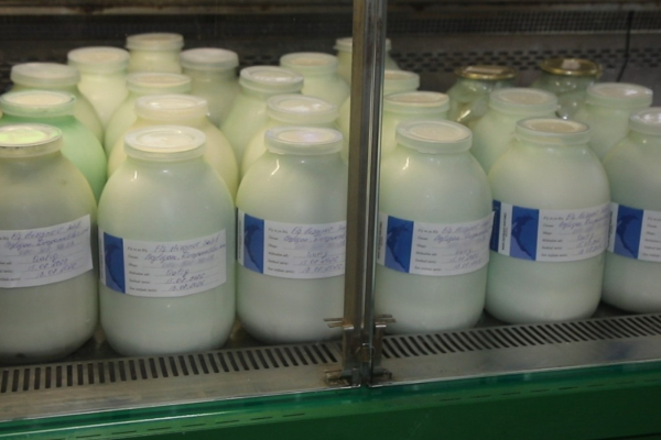Поддержка семейных ферм: запущен новый проект по маркировке молочной продукции