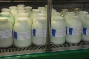Поддержка семейных ферм: запущен новый проект по маркировке молочной продукции