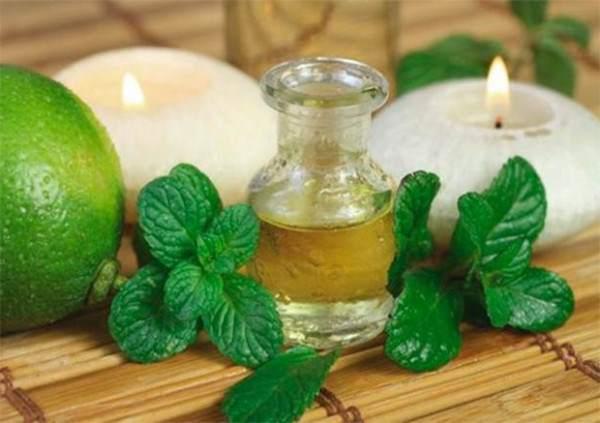 Nanə yağı qan təzyiqini aşağı sala bilər