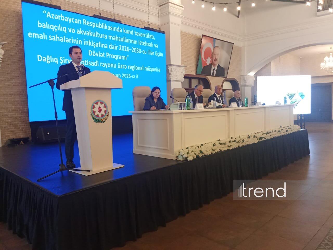 Ağsu Aqroparkında buğda məhsuldarlığının 80 sentnerə çatacağı gözlənilir