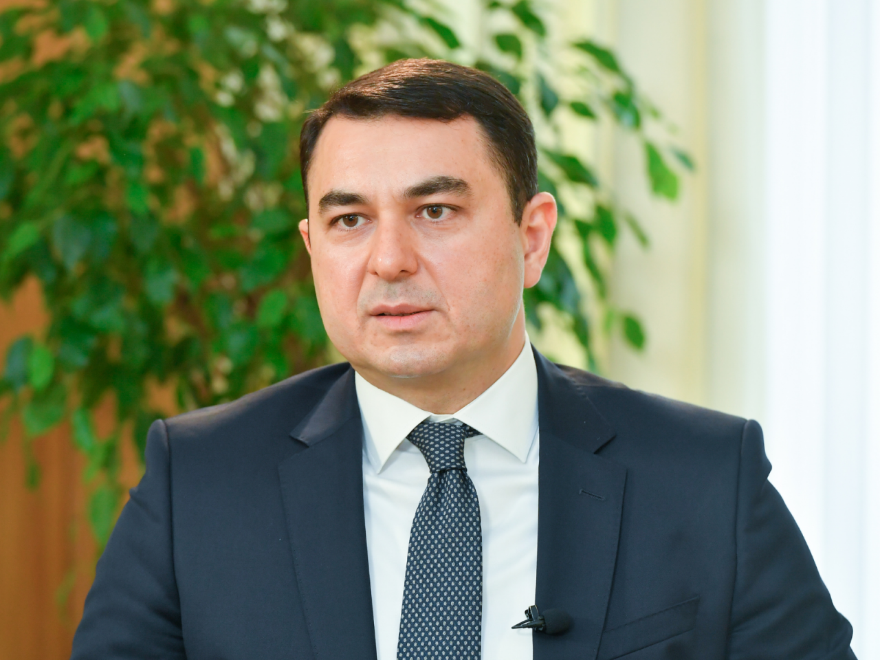 Dövlət hər il nəşrlərin satın alınmasına 600 min manatadək vəsait ayırır