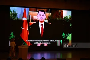 COP29-da ortaya qoyulan öhdəliklərin icrasını diqqətlə izləyəcəyik