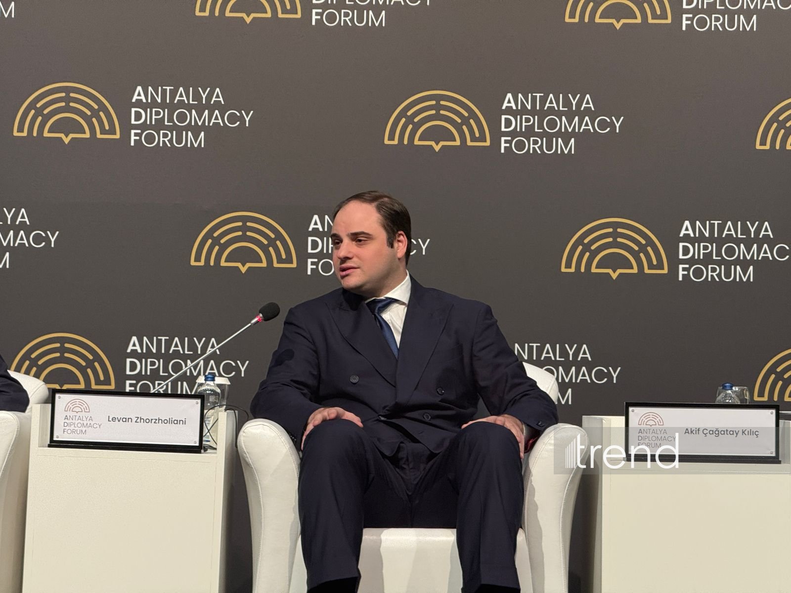 Экономическое сотрудничество между странами Южного Кавказа крайне важно - Леван Жоржолиани