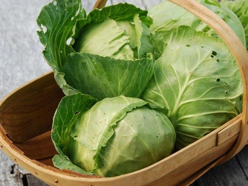 Brokoli və kələm: