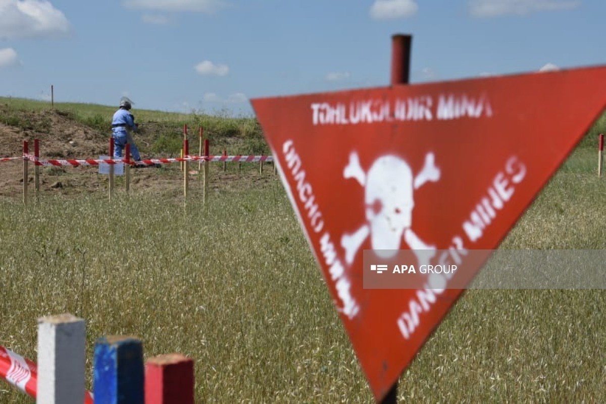 Minalardan təmizləmə zamanı həlak olanların uşaqlarının təhsili dövlət büdcəsindən ödəniləcək