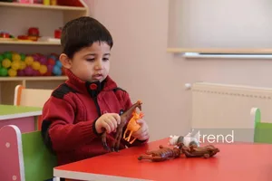 Özəl bağçalarda qidalanma ilə əlaqədar vəziyyət ürəkaçan deyil