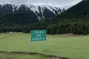 Экс-директора Тюпского лесхоза обвинили в незаконной передаче земель родственникам