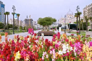 В Баку потеплеет до 28 градусов