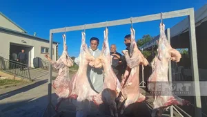 В Агдаме по случаю Гурбан байрамы 3 тыс. малоимущих семей раздали жертвенное мясо