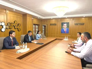 Таджикистан и ПРООН обсудили развитие промышленности и поддержку молодых специалистов