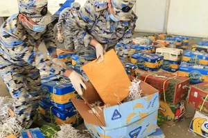 В Балакене в грузе с арбузами обнаружена крупная партия наркотиков