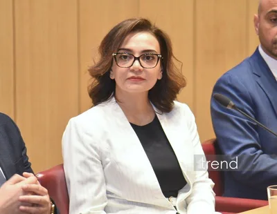Севиндж Мамедова заявила о высоком научном потенциале Азербайджана