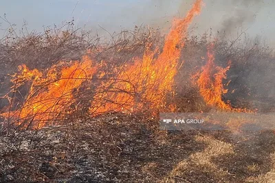 В Сабунчинском районе Баку вспыхнул пожар на открытой местности