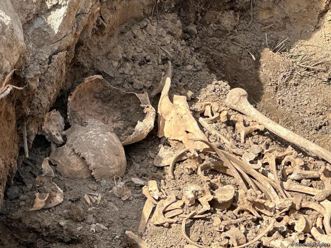 Ağdamda insan skeletinə bənzər qalıqlar aşkarlanıb