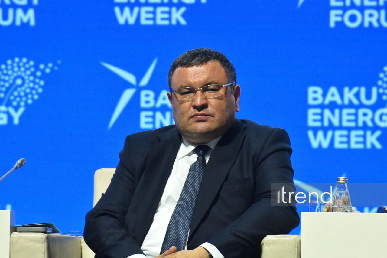 Mərkəzi Asiyada yaşıl enerjinin inkişafı üçün unikal imkanlar mövcuddur