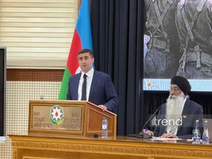 Бакинская инициативная группа и сикхская федерация усиливают сотрудничество в сфере прав человека - Аббас Аббасов