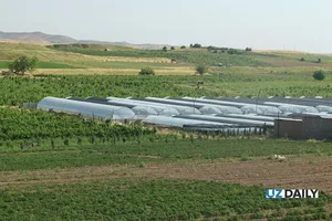 В Янгиюле запустили теплицу на тепловых насосах