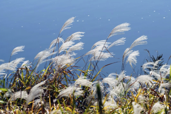 Жара спадет, подует ветер