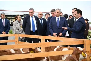 Xocalıda “Qoç Ət”in heyvandarlıq kompleksi ilə tanışlıq olub