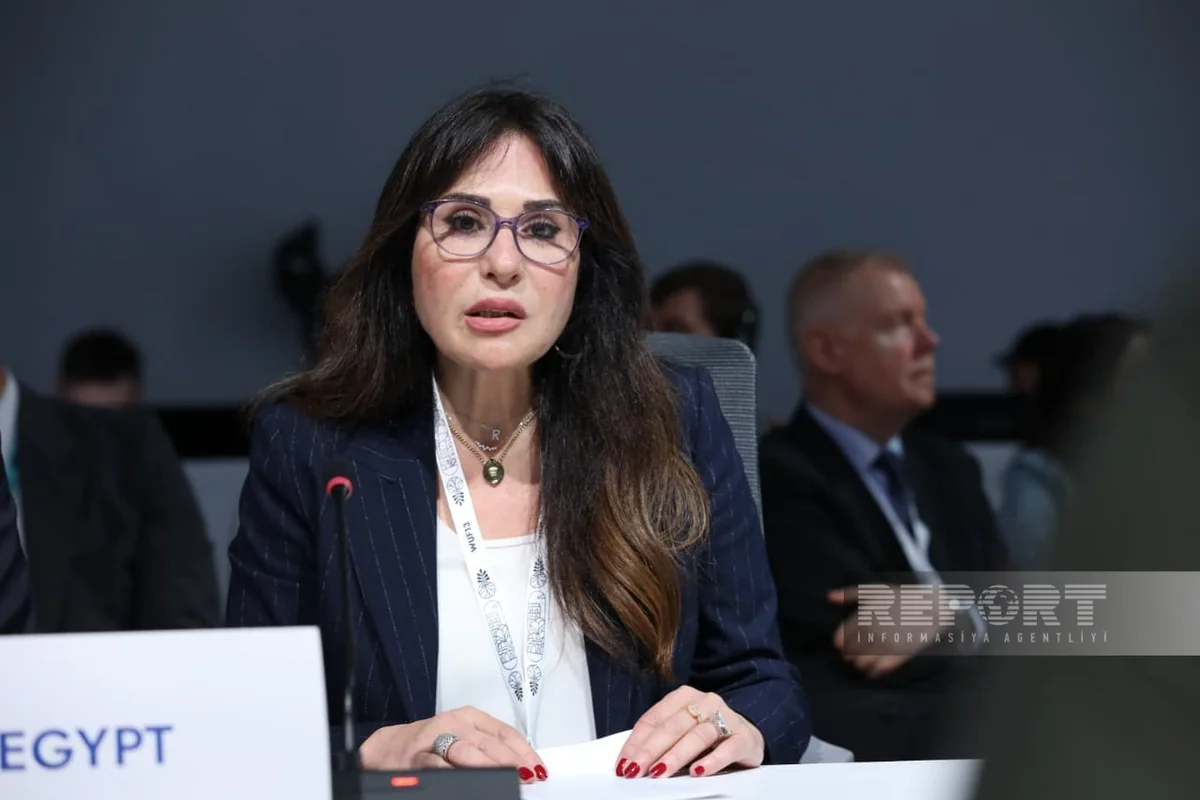 Ранда Аль-Миншави: Египет на WUF13 призвал к доступному партнерству в сфере городского развития