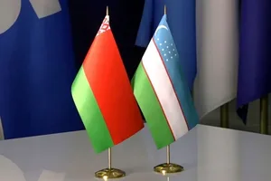 Узбекистан и Беларусь разработают дорожную карту сотрудничества в энергетике