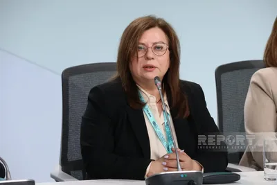 Наргиз Гараджаева: Освобожденные территории внесут вклад в развитие зеленой экономики Азербайджана