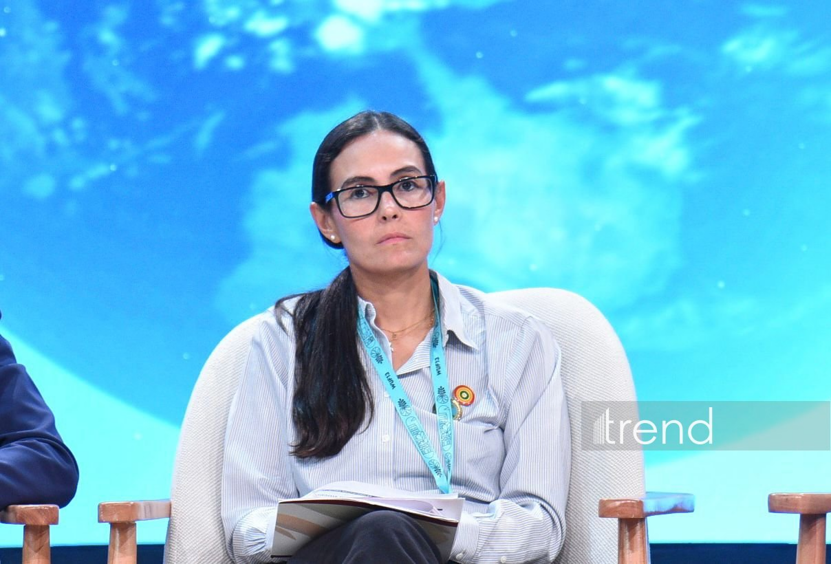 Kartexenada narkotik zonasının yerində parklar salınıb
