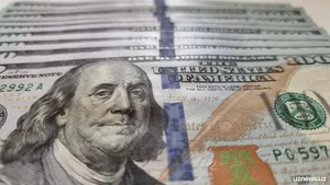Предложение иностранной валюты в Узбекистане выросло на 31%