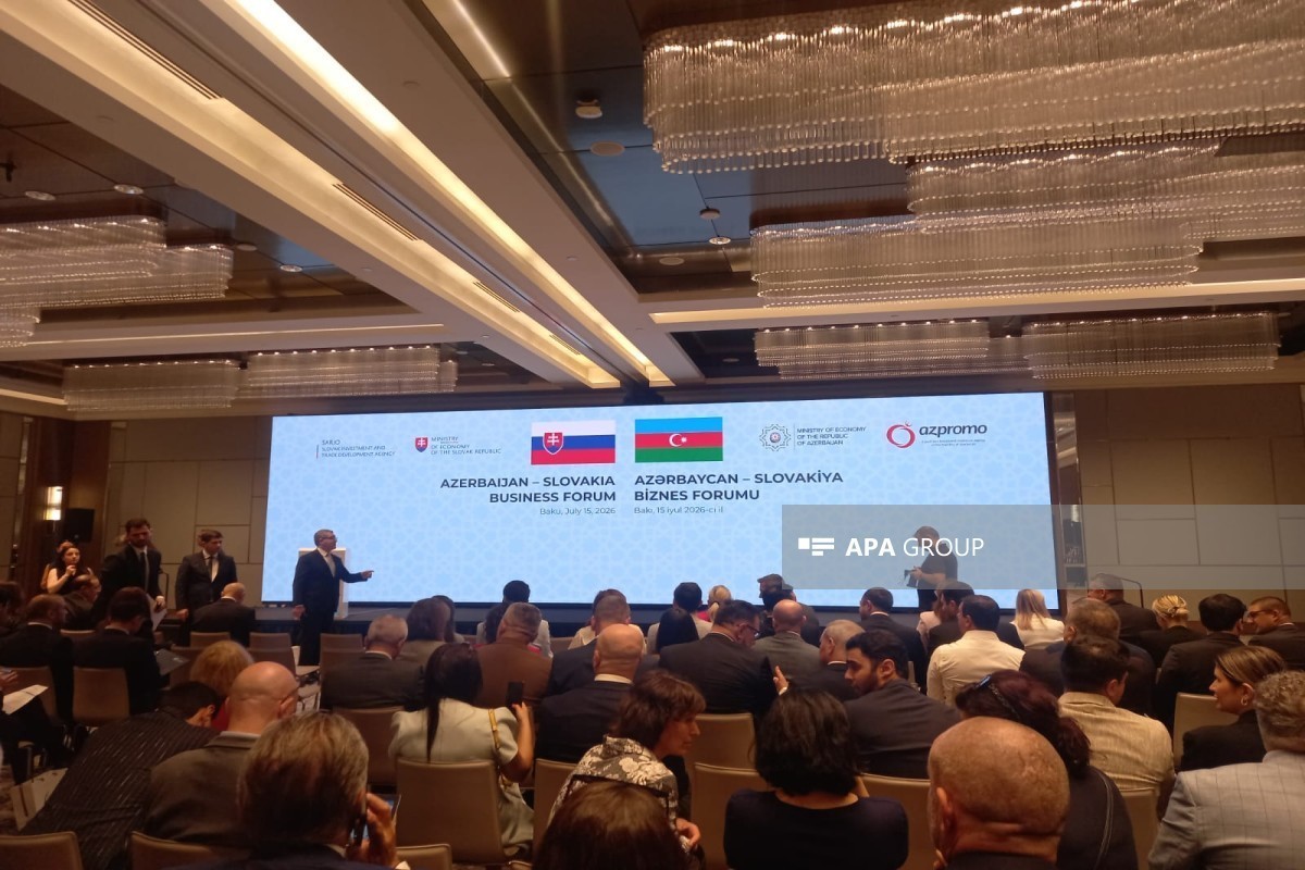 Названы перспективные направления сотрудничества Баку и Братиславы