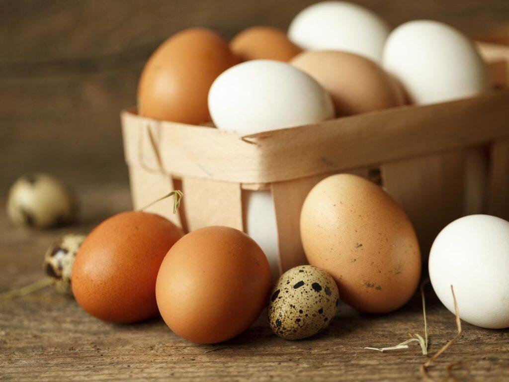 Yumurtaların saxlanmasında ən çox edilən