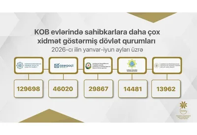 Sahibkarlar hansı xidmətlər üçün KOB evlərinə müraciət ediblər?