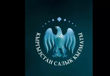 Налоговики Кыргызстана пресекли незаконный ввоз товаров на 1.4 млн сомов