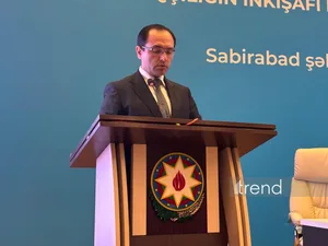 Хлопководство играет важную роль в экономике Азербайджана - Меджнун Мамедов (ФОТО)