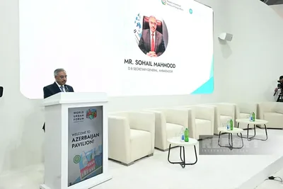 D-8: Успех WUF13 укрепил растущий авторитет Азербайджана как важной международной площадки