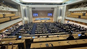 В Женеве Азербайджан выразил обеспокоенность ростом расизма и исламофобии в Европе