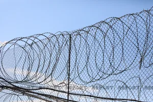 В исправительных учреждениях Азербайджана за 5 мес. зарегистрирован 31 брак