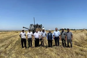 В Кадамжае началась уборка ячменя, урожайность составляет 4,2 т/га, - Минсельхоз