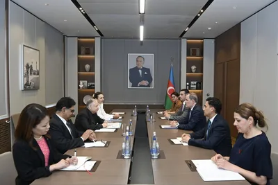 Глава МИД Азербайджана принял спецпосланника ООН