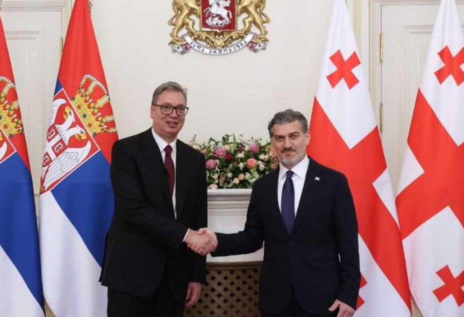 Gürcüstan və Serbiya prezidentlərinin görüşündə regional təhlükəsizlik məsələləri diqqətdə olub