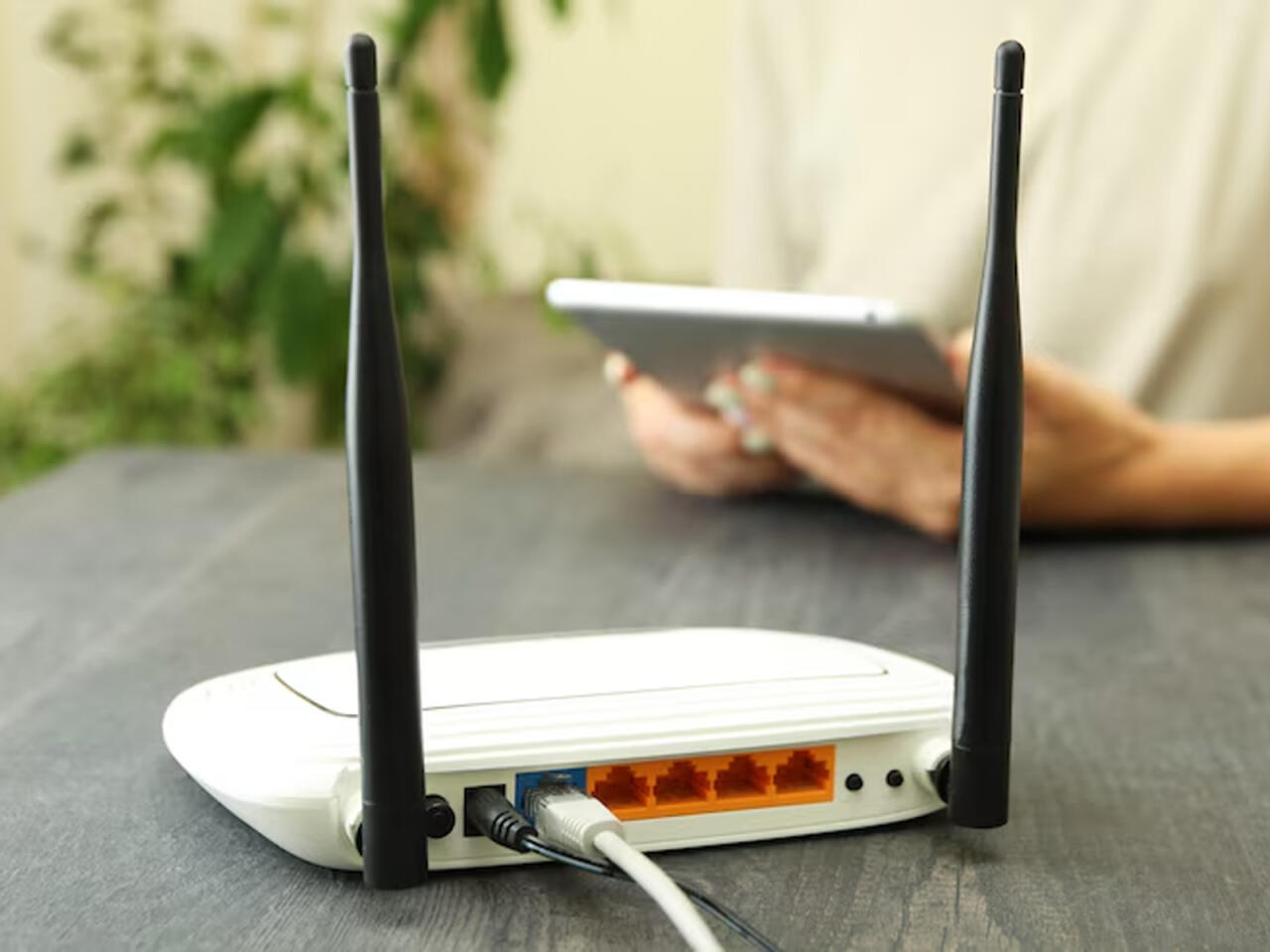 Son bir ildə Azərbaycanda internetin artım sürəti