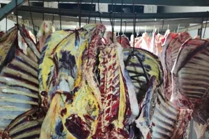 АПБА выявило в Масаллы более 3 тонн испорченного мяса