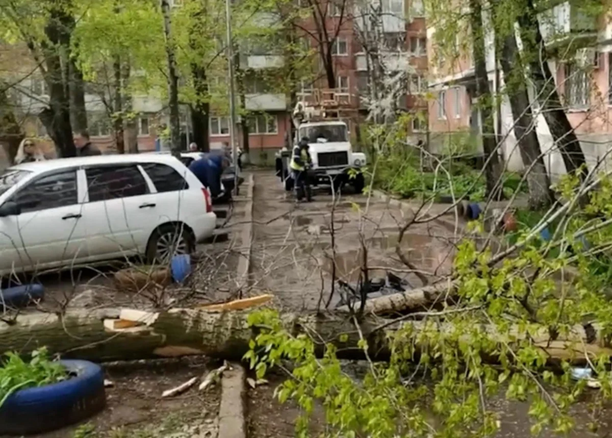 Rusiyanın Samara vilayətində ağacların aşması nəticəsində üç nəfər həlak olub