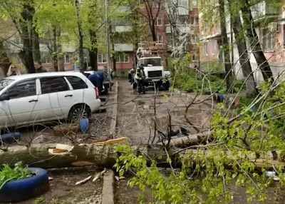 В Самарской области РФ три человека погибли при падении деревьев
